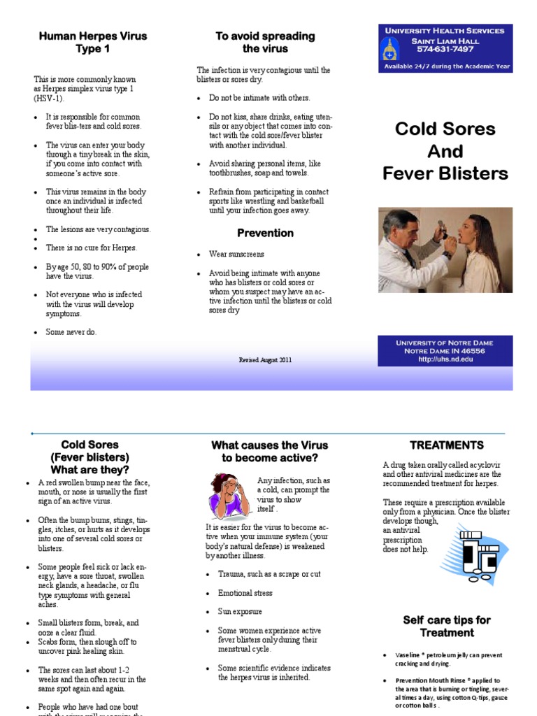 Cold Sores and Fever Blisters: To Avoid Spreading The Virus Human ...