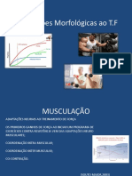 Adaptações Morfológicas Ao Treinamento de Força