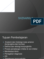 Skenario 2 Blok Mata