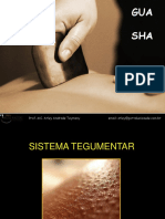 Gua sha.pdf