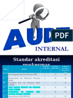 Audit Internal