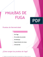 Pruebas de Fuga