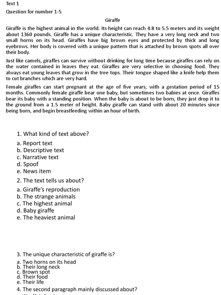 Ulangan Report Text Giraffe Dolphin