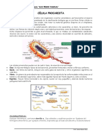 Cel Procariota - Membrana Plasmatica (2)