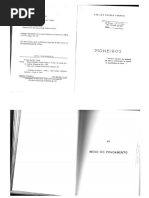 Pioneiros - Cap IV - Inicio Povoamento