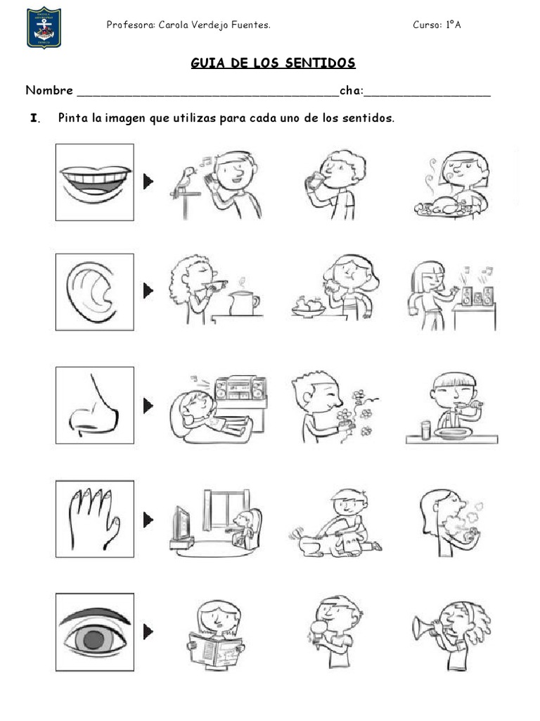 Guía de los Sentidos para Niños | PDF