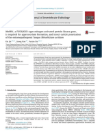 aMk1, a FUS3/KSS1-type mitogen-activated protein kinase gene, is required for appressorium formation, and insect cuticle penetration of the entomopathogenic fungus Metarhizium acridum