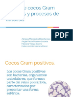 Cocos Gram Positivos y Procesos de Autolisis