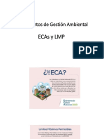 3.IGA - ECA y LMP