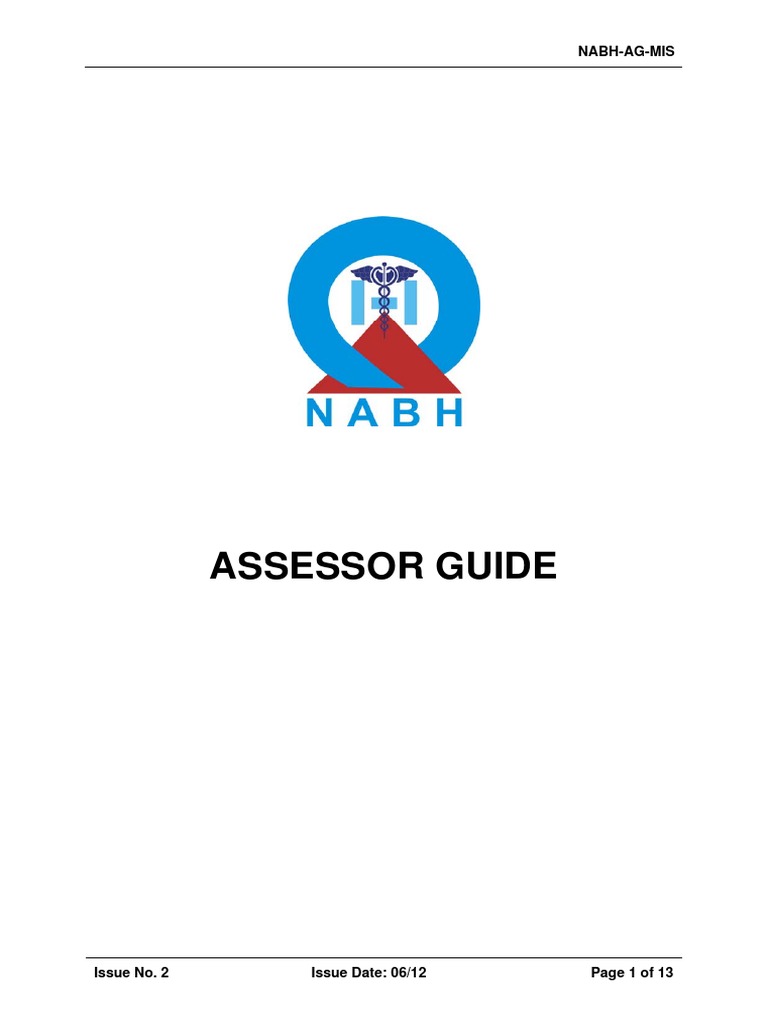 MI Assessor Guide PDF Regulatory Compliance Health Care