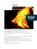Vitrified Forts – Up In Smoke.pdf