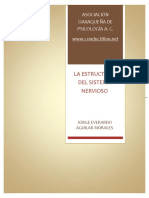 ESTRUCTURA DEL SISTEMA NERVIOSO.pdf