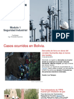 Seguridad Industrial Fer