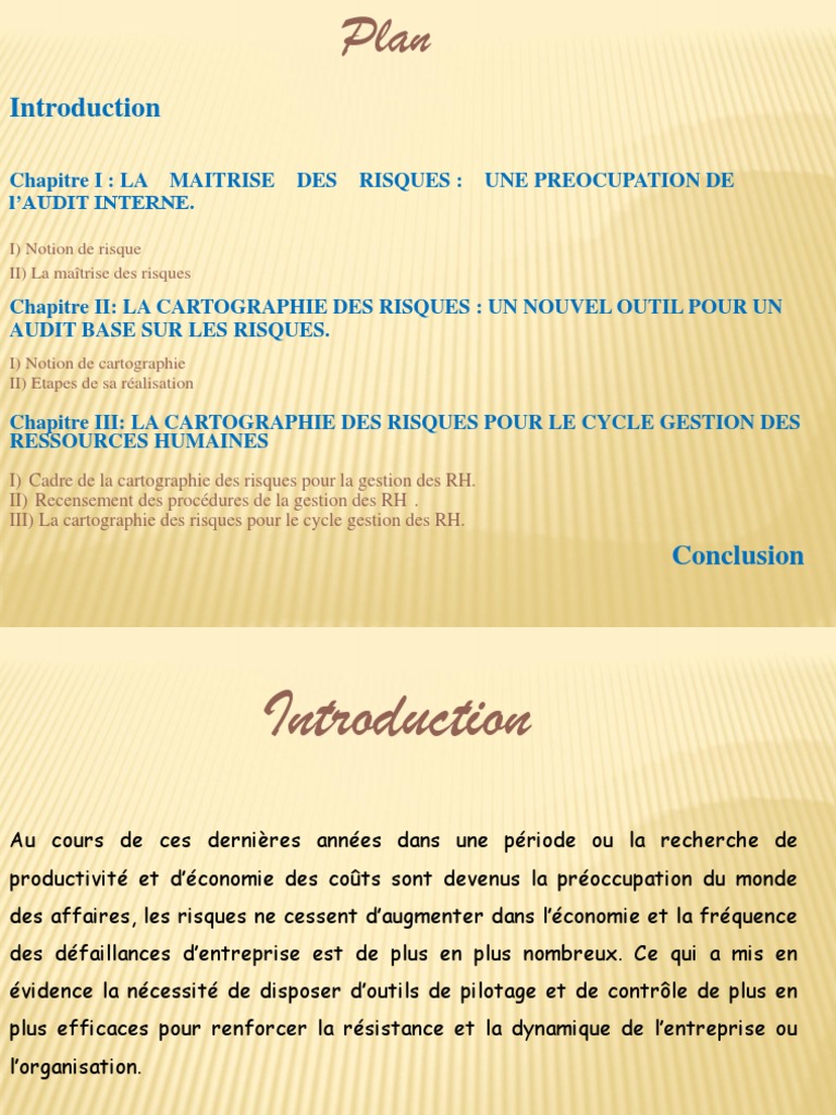 Cartographie des Risques en RH | PDF | Risque | Gestion des ressources ...