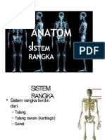 Anatomi Sistem Rangka