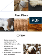 Plant Fiber Production Consumption