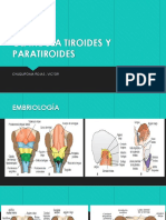 Glándula Tiroides y Paratiroides