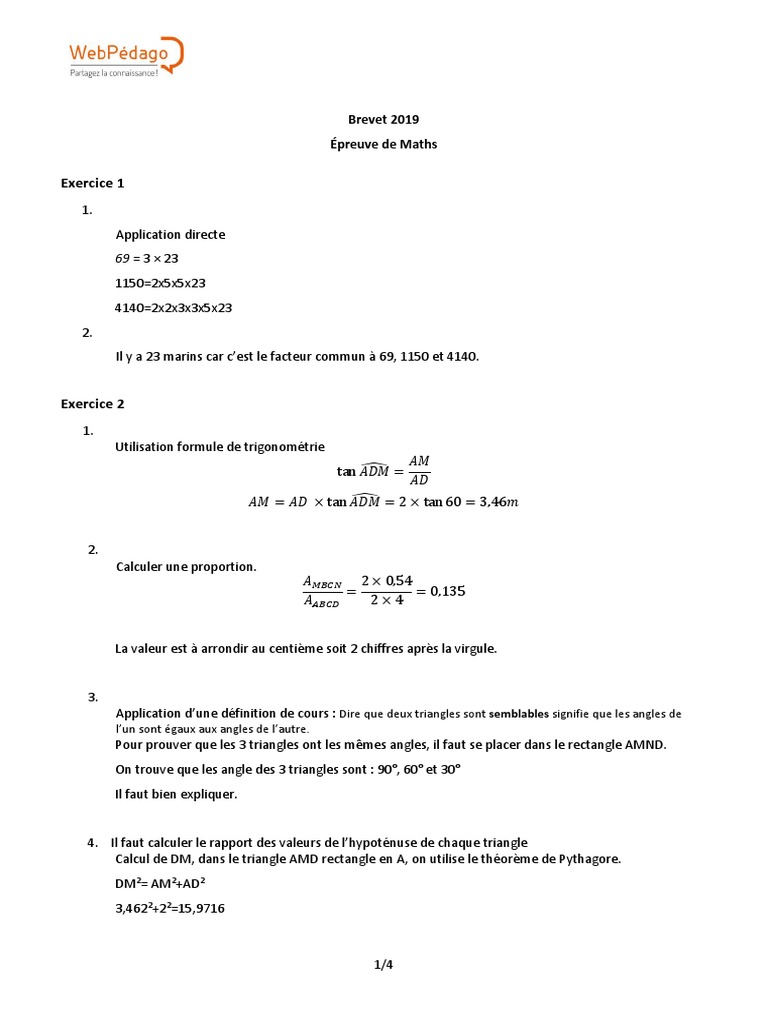 Brevet Des Collèges Maths Sujet Et Corrigé Brevet 2019 Maths | PDF | Espace | Géométrie
