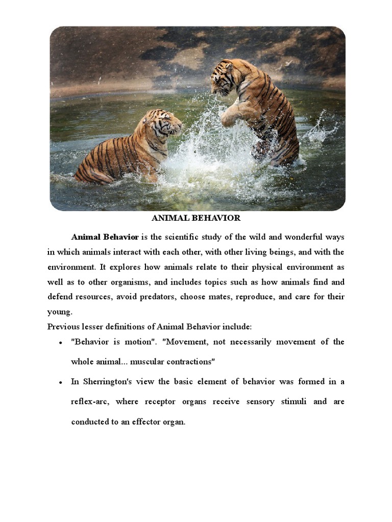 Understanding Animal Behavior Dynamics | PDF