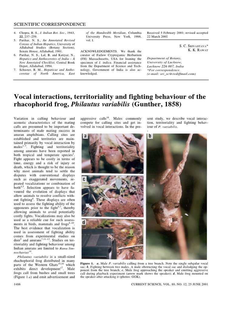 Frog Vocalization and Behavior | PDF | Frog | Herpetology