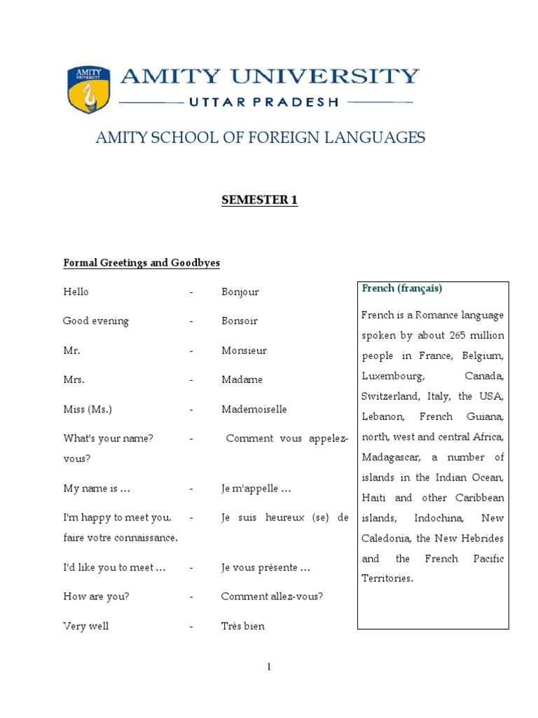 French Language Basics for Beginners | PDF | Grammatical Gender ...