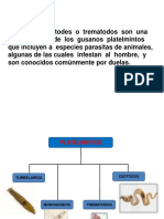 derecho y izq