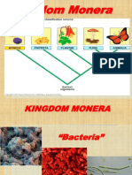 Kingdom Monera: Bacteria and Archaea