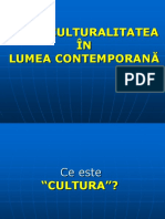 Interculturalitatea