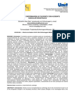 Cuidados de Enfermagem Ao Paciente Com Acidente Vascular Encefálico