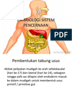 Embriologi Sistem Pencernaan 