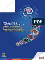 Reorganización curricular por ciclos.pdf
