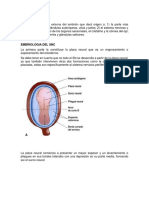 Embriologia SNC