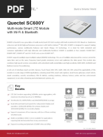 SC600Y Datasheet