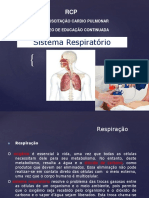 Aula Dr. Ari Anatomia Do Pulmão Rcp