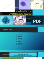 Introducción A La Protozoología Médica