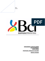 BCI Sustentabilidad Informe