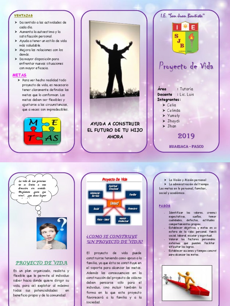 Triptico de Proyecto de Vida Sociedad Comportamiento