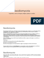 basidiomycota.pdf