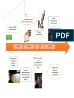 Linea de Tiempo Mucrobiologua Linea de T 1