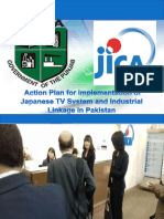 5_Nouman action plan.pptx