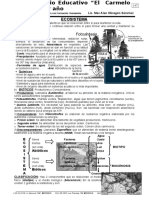 Biología 1er Año - 3er y 4to Bimestre 2006