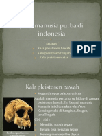 Jenis Manusia Purba Di Indonesia