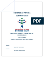 Investigación Del Ducto A Argentina