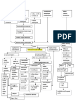 CHF Pathway