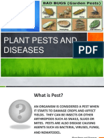 Plant Pests and Diseases