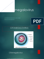 Citomegalovirus.pdf