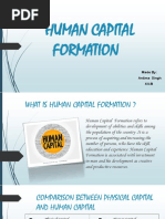 Human Capital Formation Project Overview | PDF | Human Capital ...