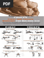 Chest and Triceps Workout 1