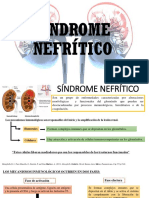 1 Sindrome Nefritico (1)