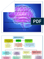 Modelos cognitivos de la memoria sensorial